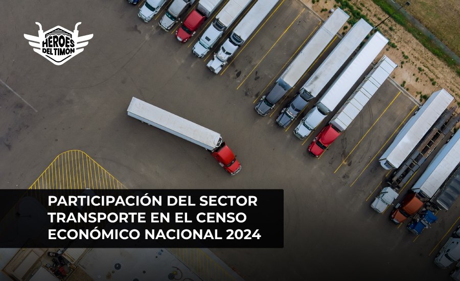 Participación del sector transporte en el Censo Económico Nacional