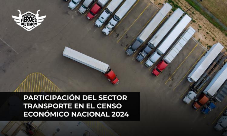 Participación del sector transporte en el Censo Económico Nacional
