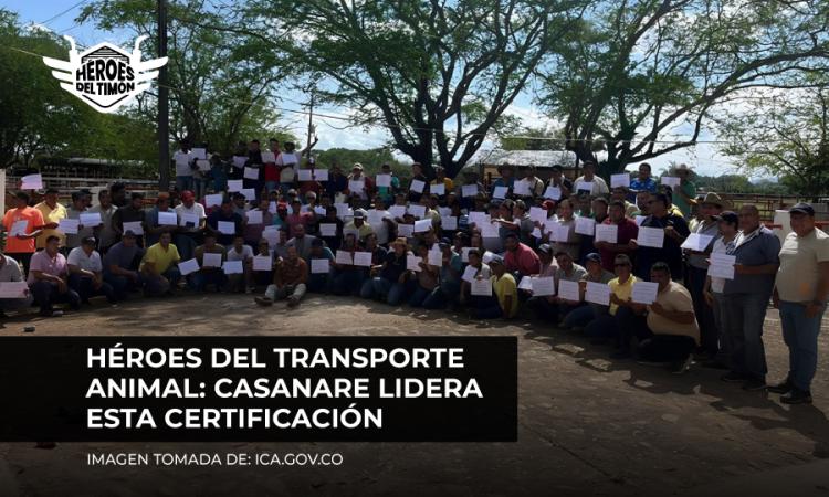 Héroes del transporte animal: Casanare lidera esta certificación